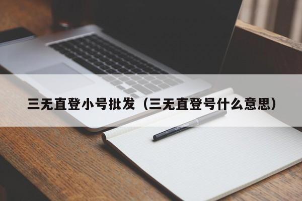 三无直登小号批发（三无直登号什么意思）