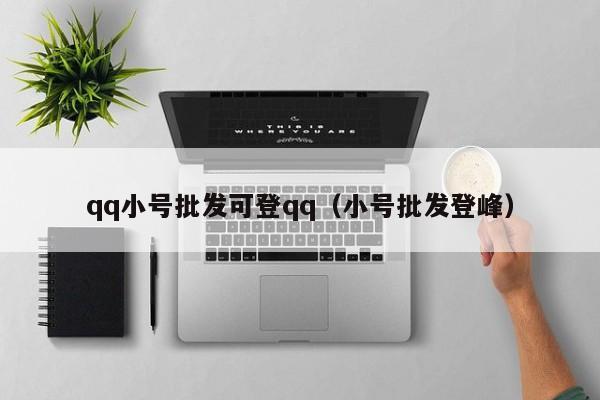 qq小号批发可登qq（小号批发登峰）