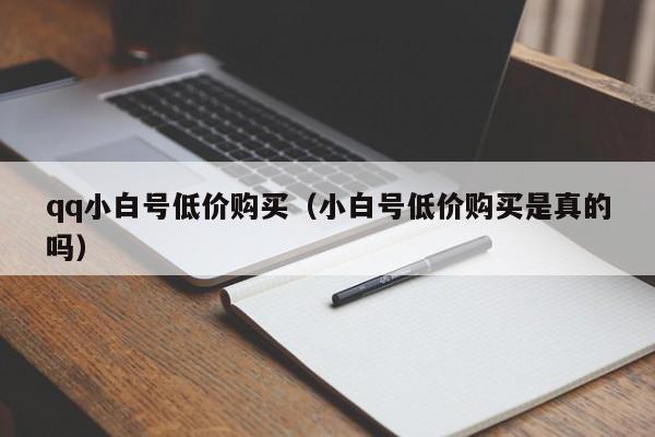 qq小白号低价购买（小白号低价购买是真的吗）