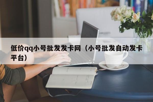 低价qq小号批发发卡网（小号批发自动发卡平台）