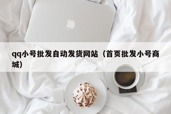 qq小号批发自动发货网站（首页批发小号商城）