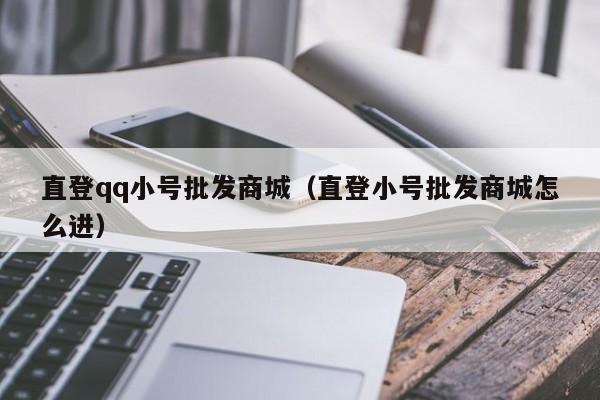 直登qq小号批发商城（直登小号批发商城怎么进）