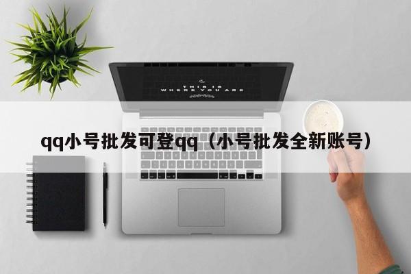 qq小号批发可登qq（小号批发全新账号）