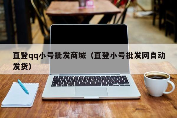 直登qq小号批发商城（直登小号批发网自动发货）