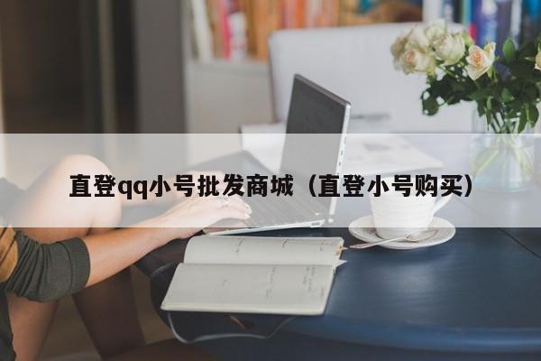 直登qq小号批发商城（直登小号购买）