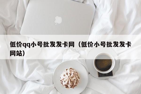 低价qq小号批发发卡网（低价小号批发发卡网站）